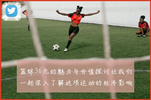 篮球36元的魅力与价值探讨让我们一起深入了解这项运动的经济影响与文化意义