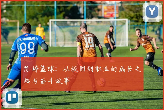陈婷篮球：从校园到职业的成长之路与奋斗故事